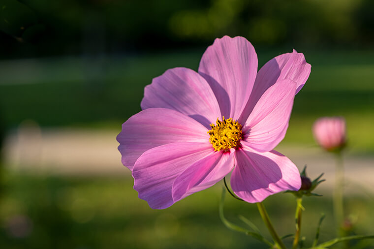 Rosengarten 10 - München - YouLoveBeauty