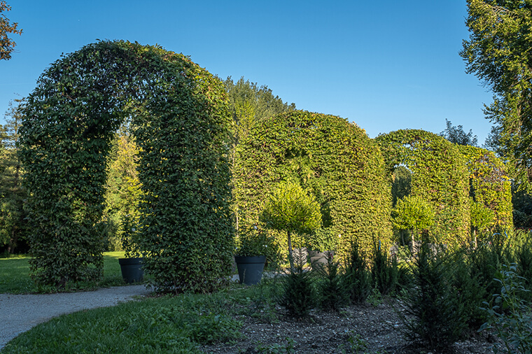 Rosengarten 08 - München - YouLoveBeauty