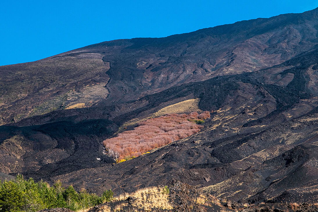 Erkaltete Lava Ströme - Meine Reise zum Ätna - YouLoveBeauty